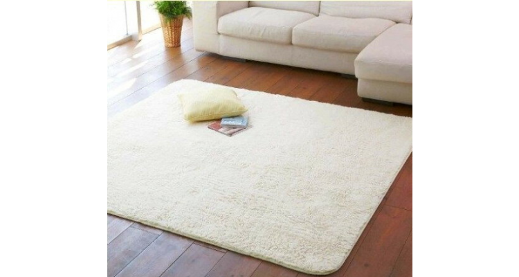 高級純色 防滑超柔 絲毛地毯