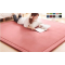 日本原單 190*240 CM 高級纖細珊瑚絨地毯